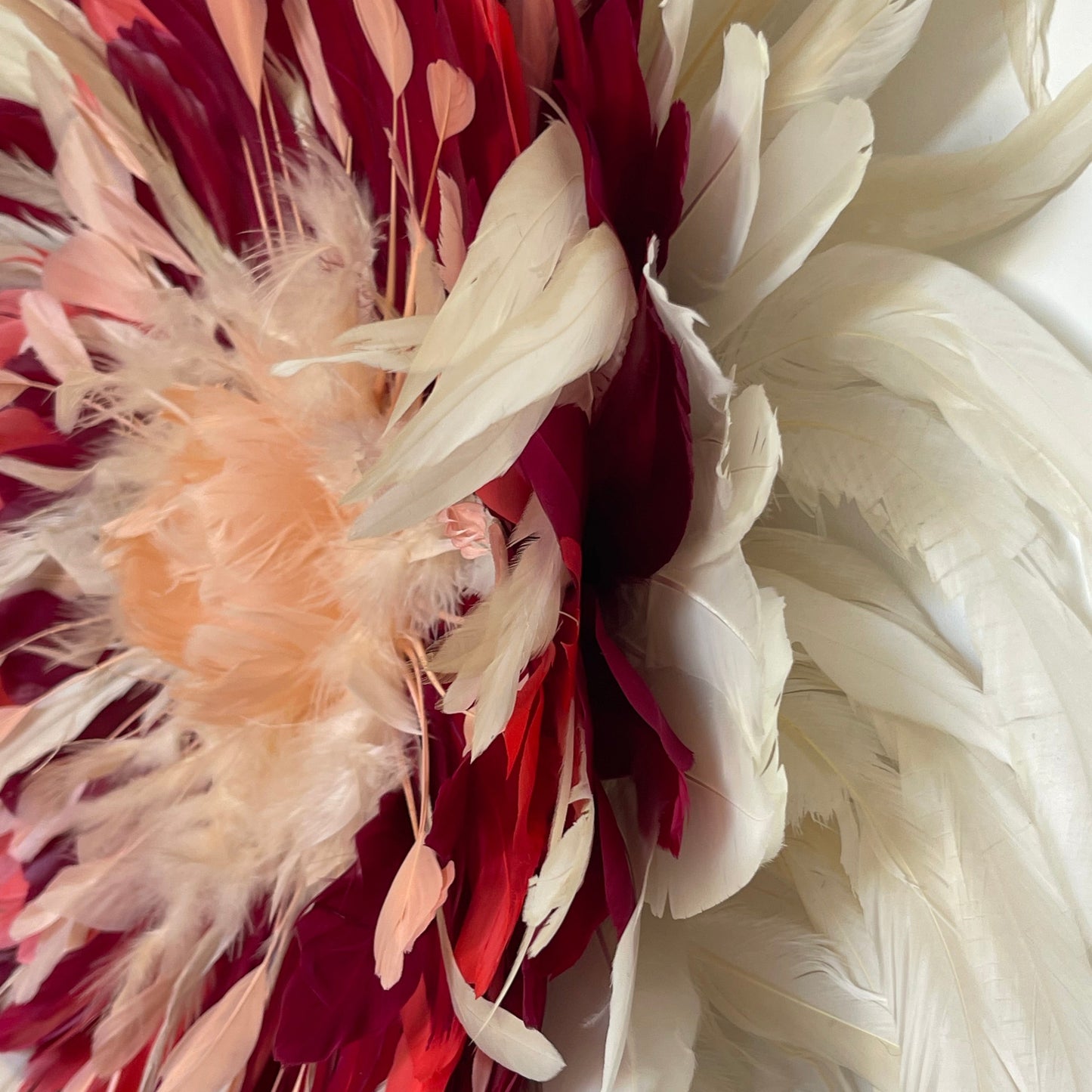 Pivoine