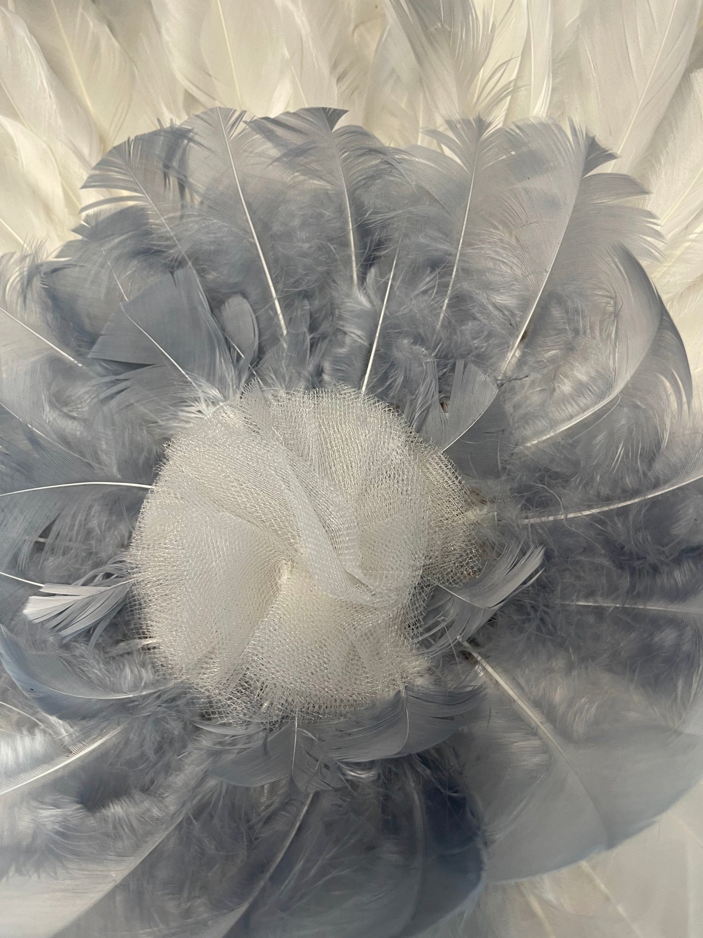 Voile de Plumes