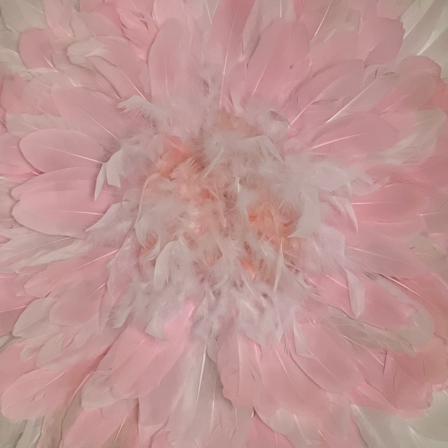 Blanc Rose