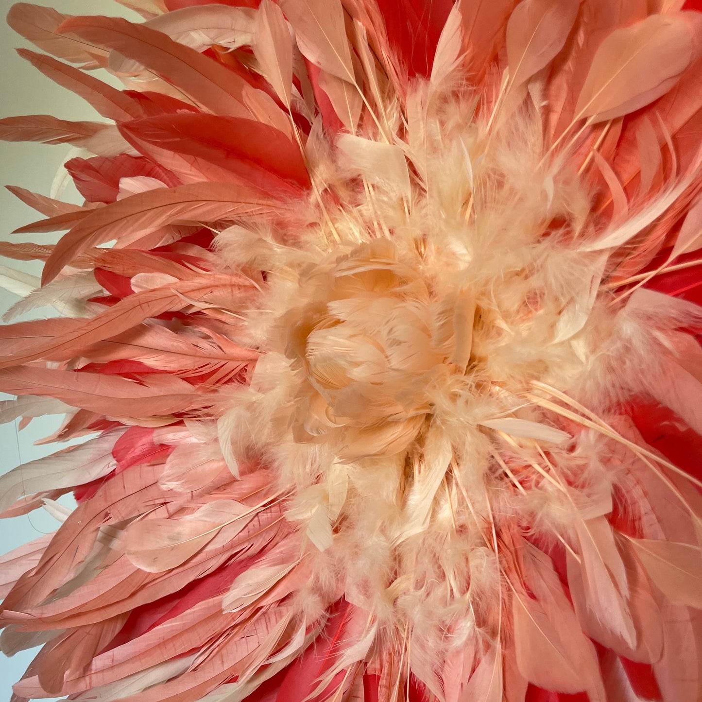 Soleil Corail