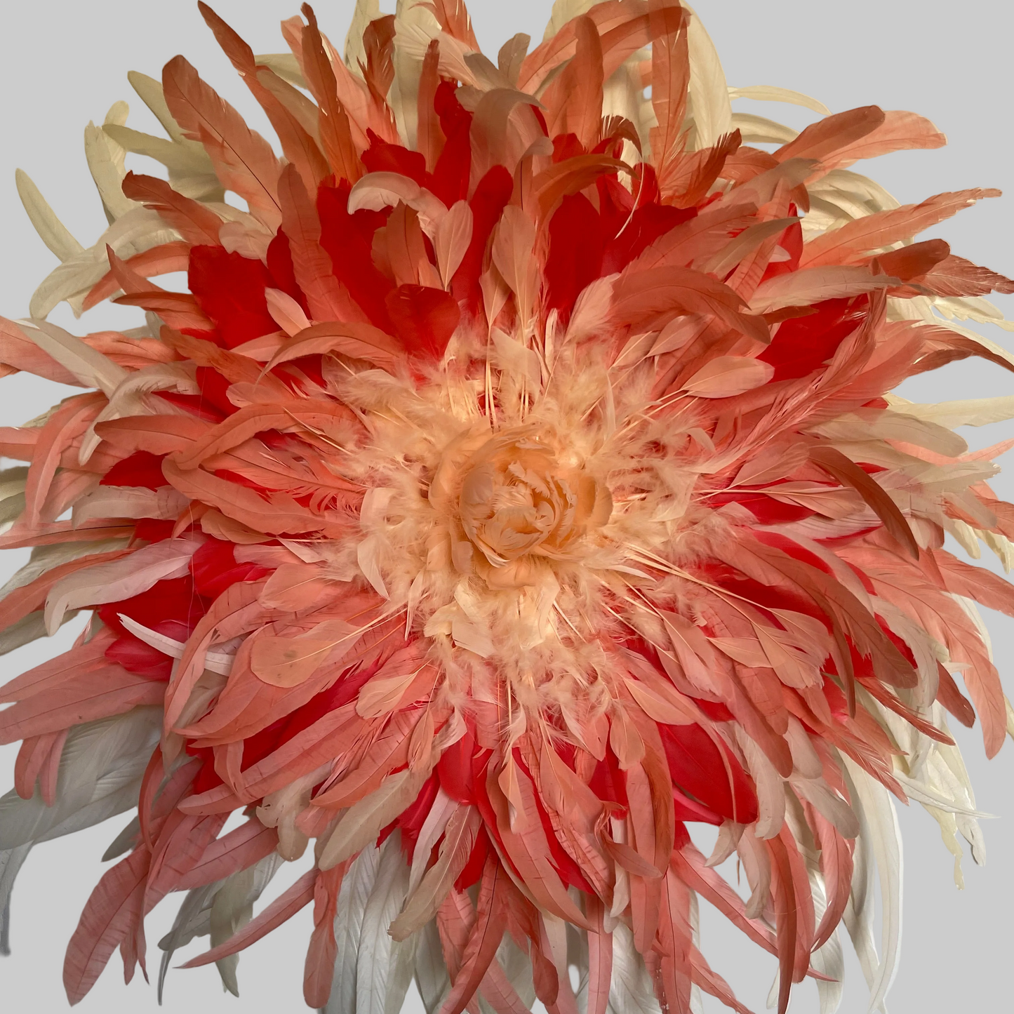Soleil Corail