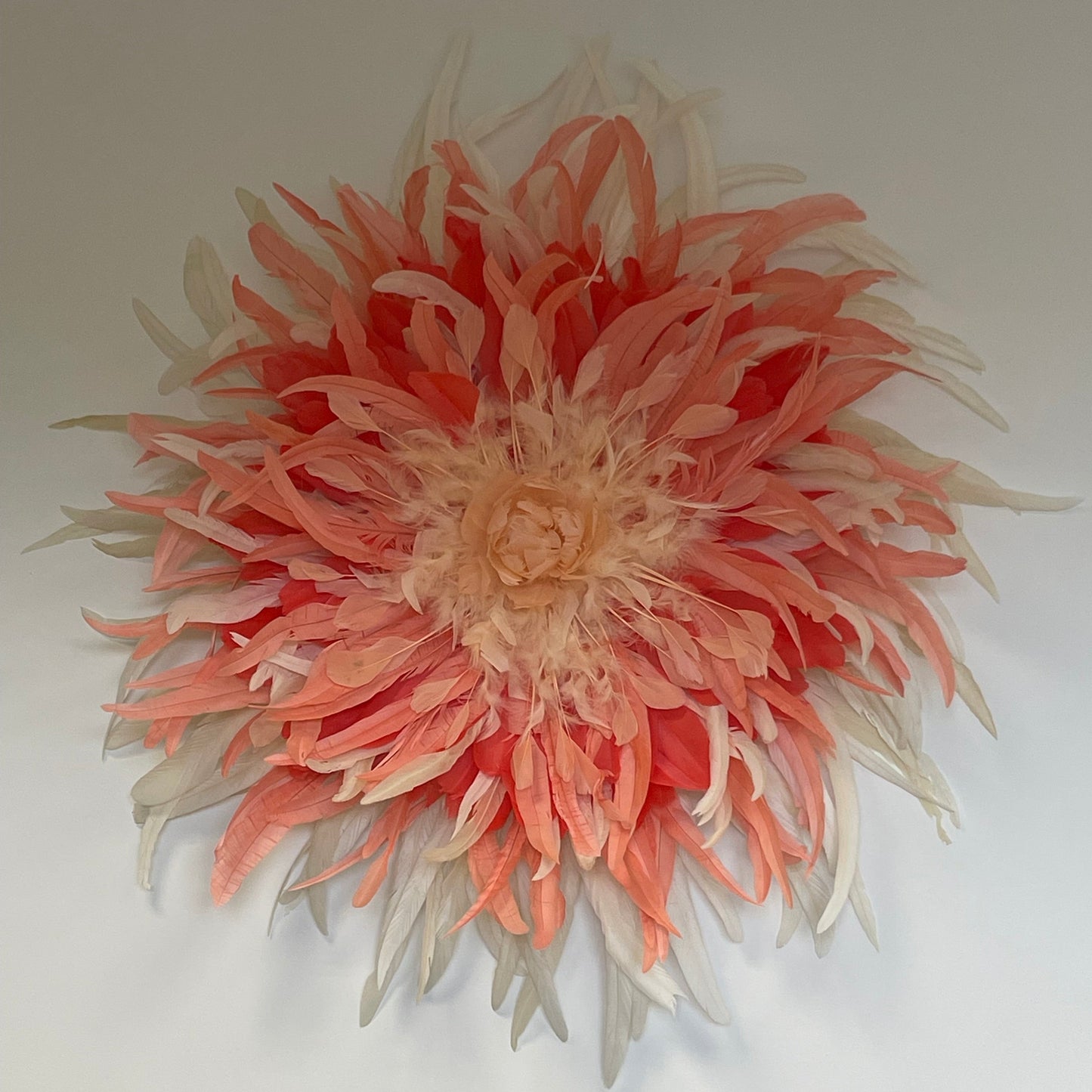 Soleil Corail