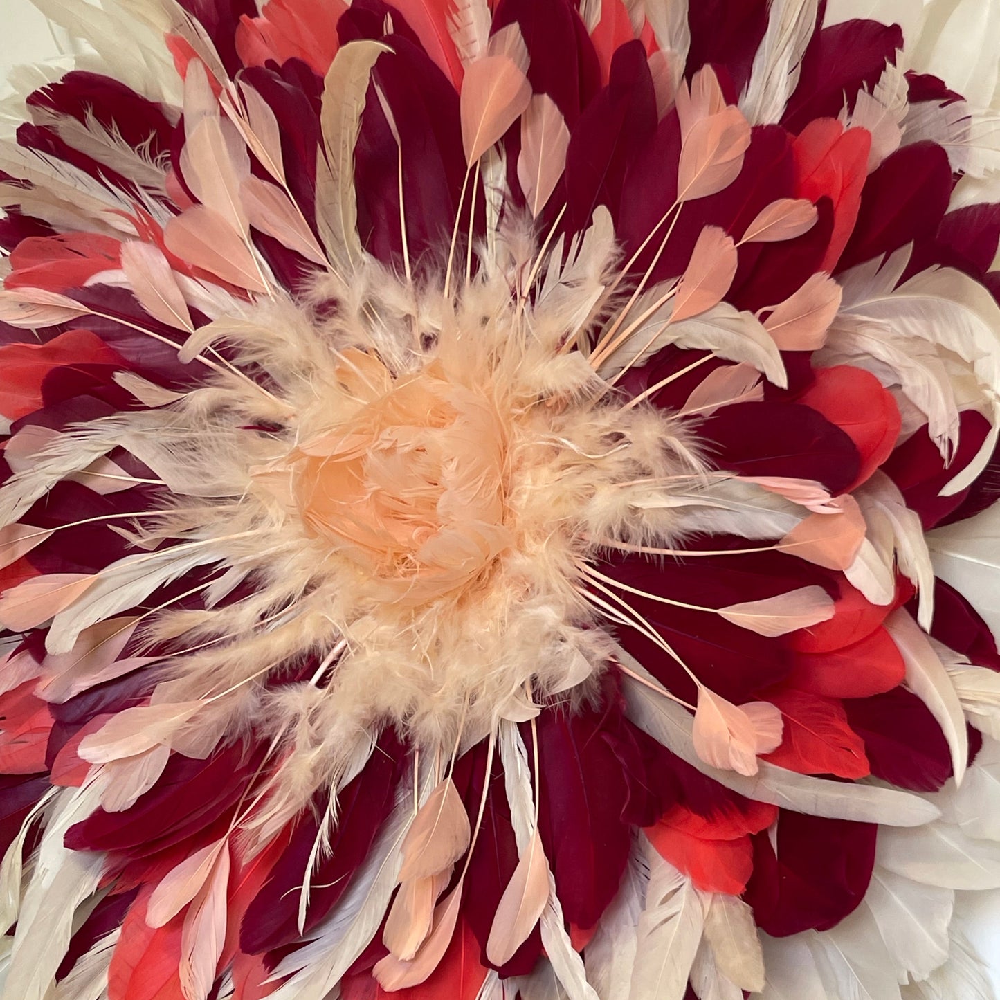 Pivoine