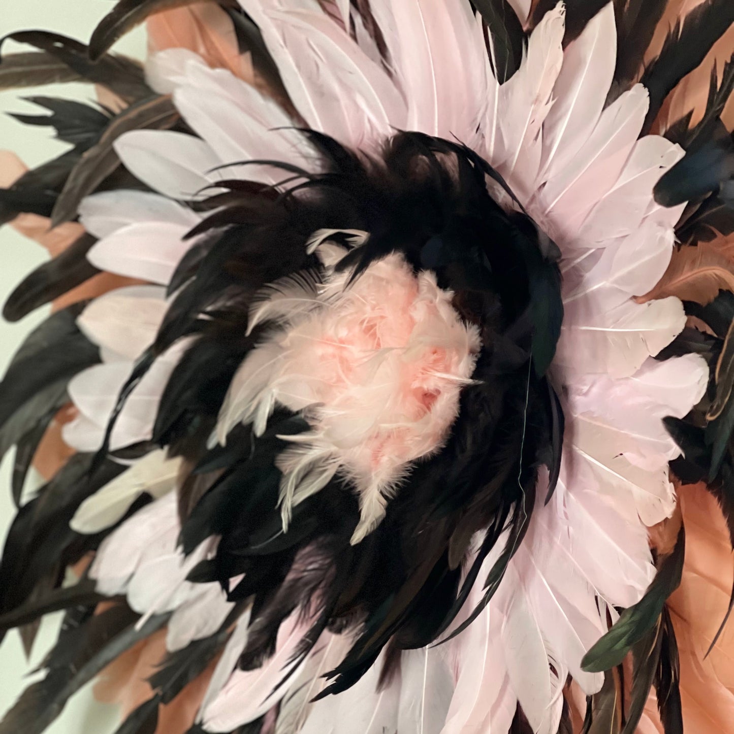 Terre Rose