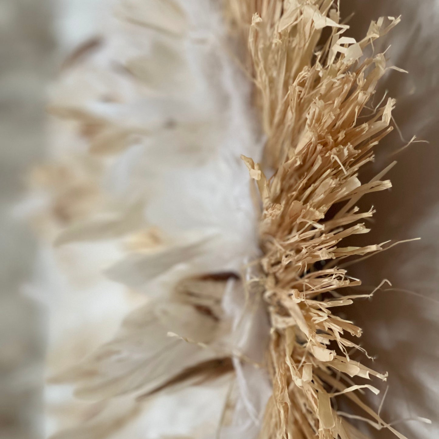 Raphia Plumes