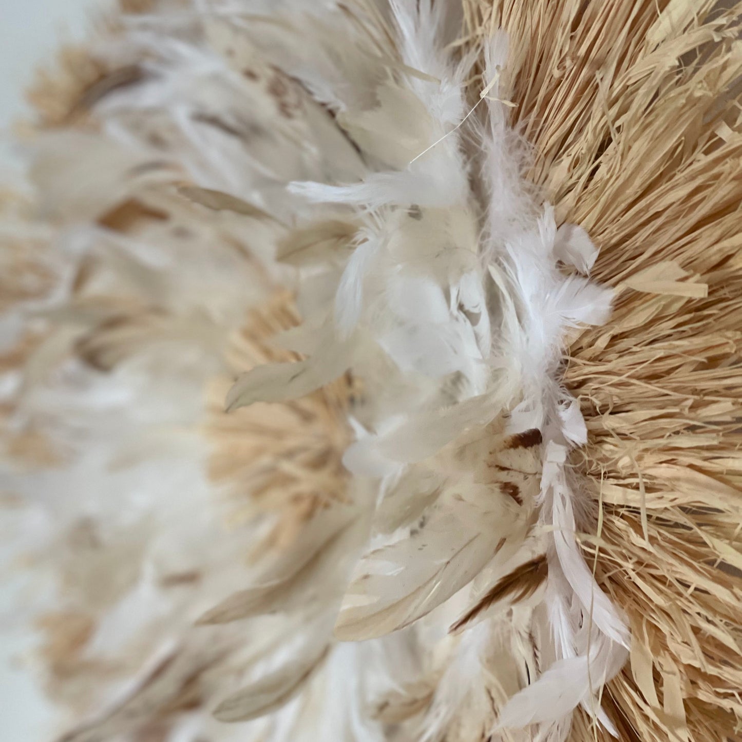 Raphia Plumes