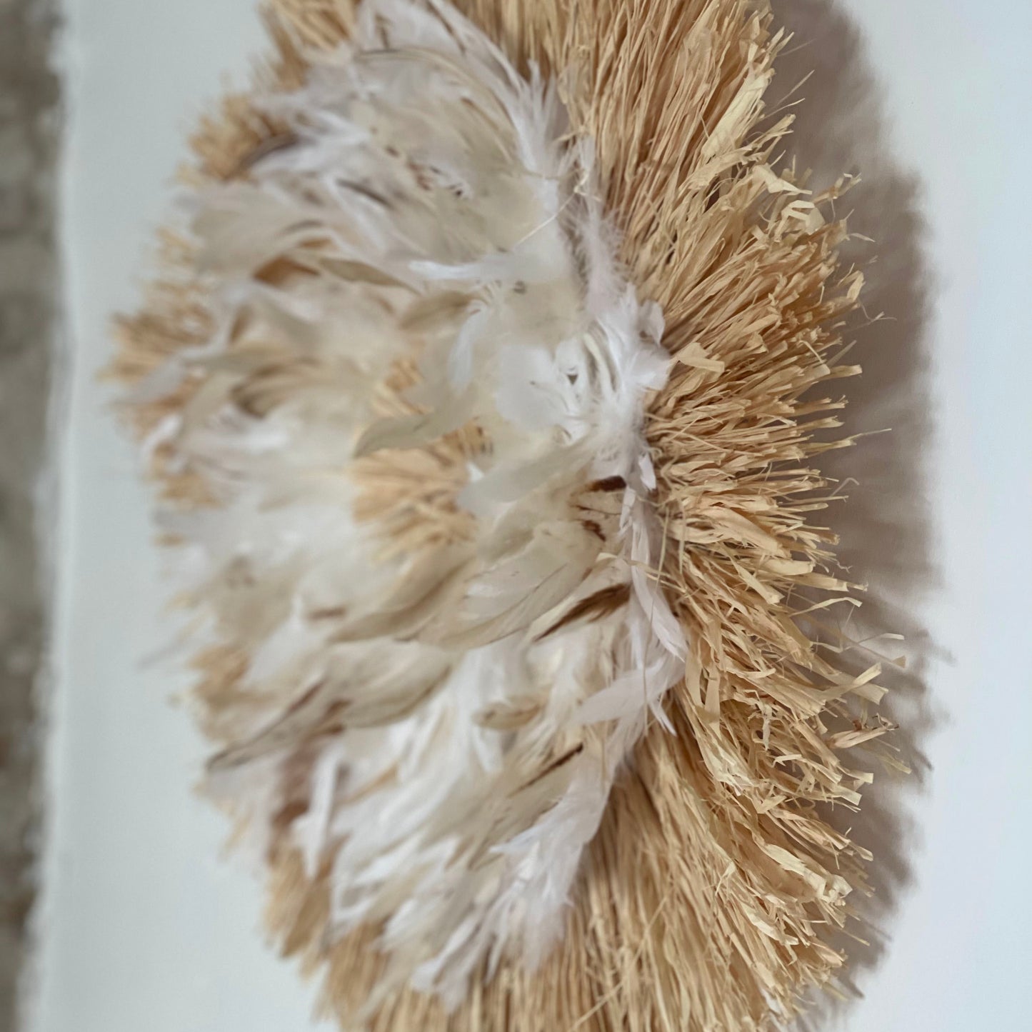 Raphia Plumes