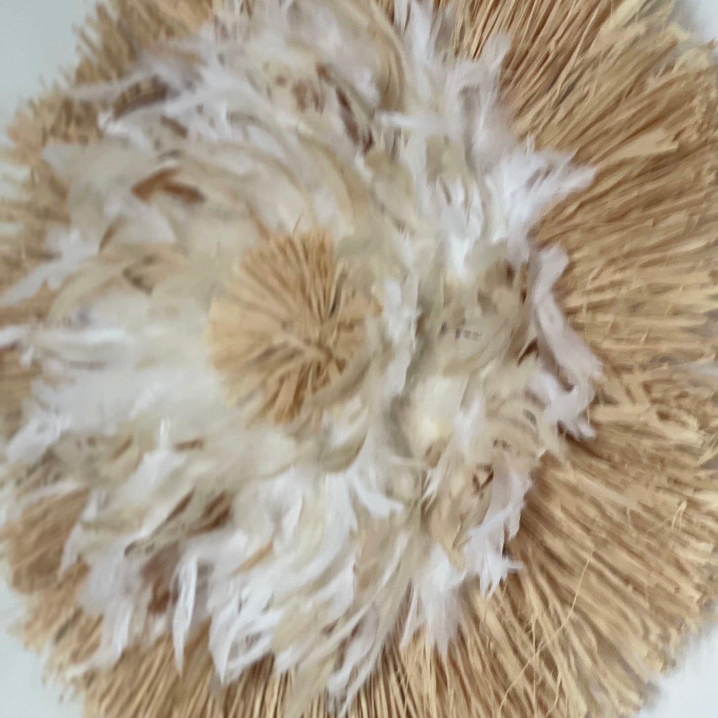 Raphia Plumes