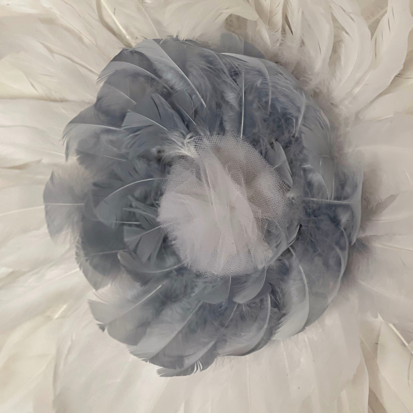 Voile de Plumes
