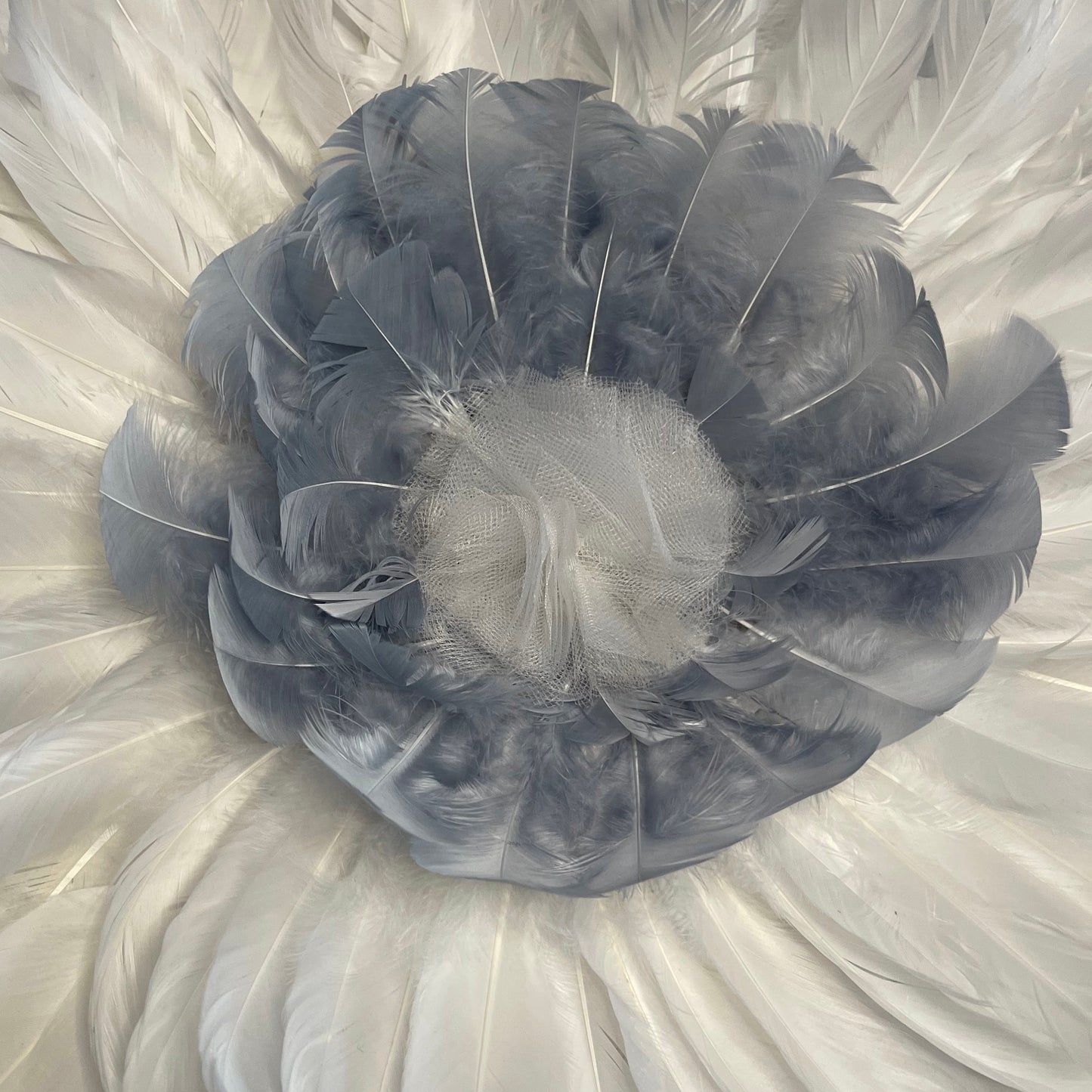 Voile de Plumes