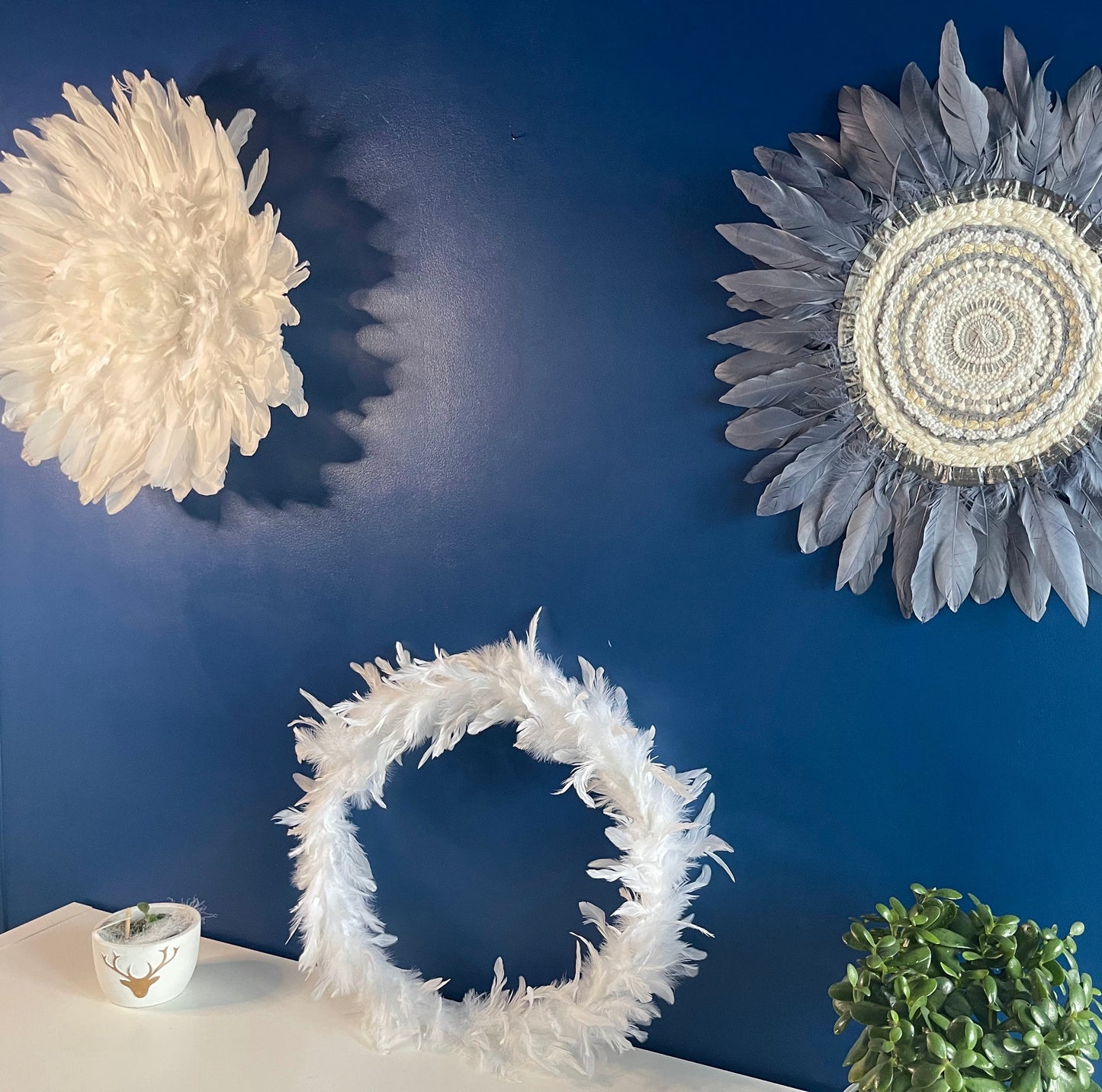 Cerceau Plumes