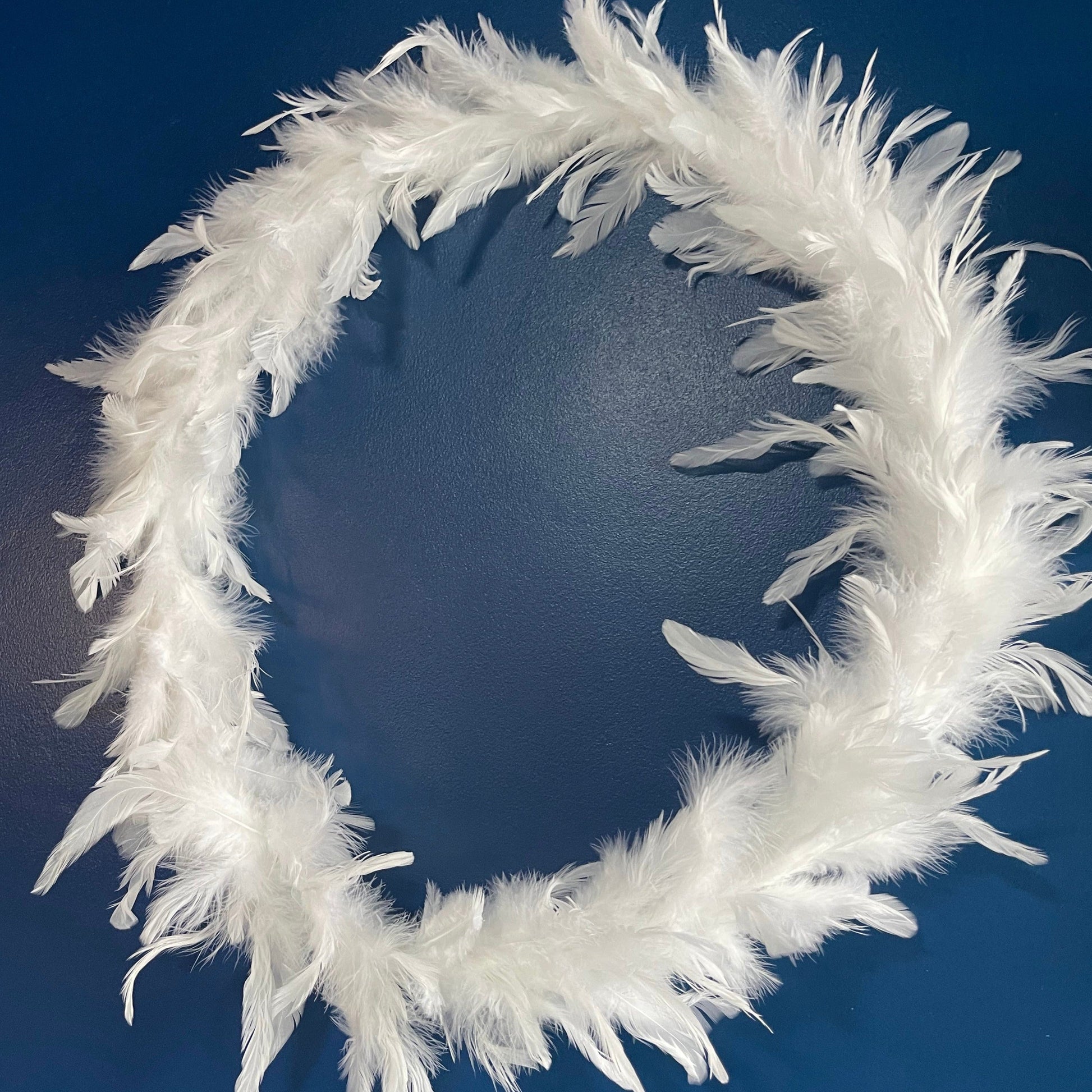 Cerceau Plumes — art mural en plumes fait main, Rêves de Vi