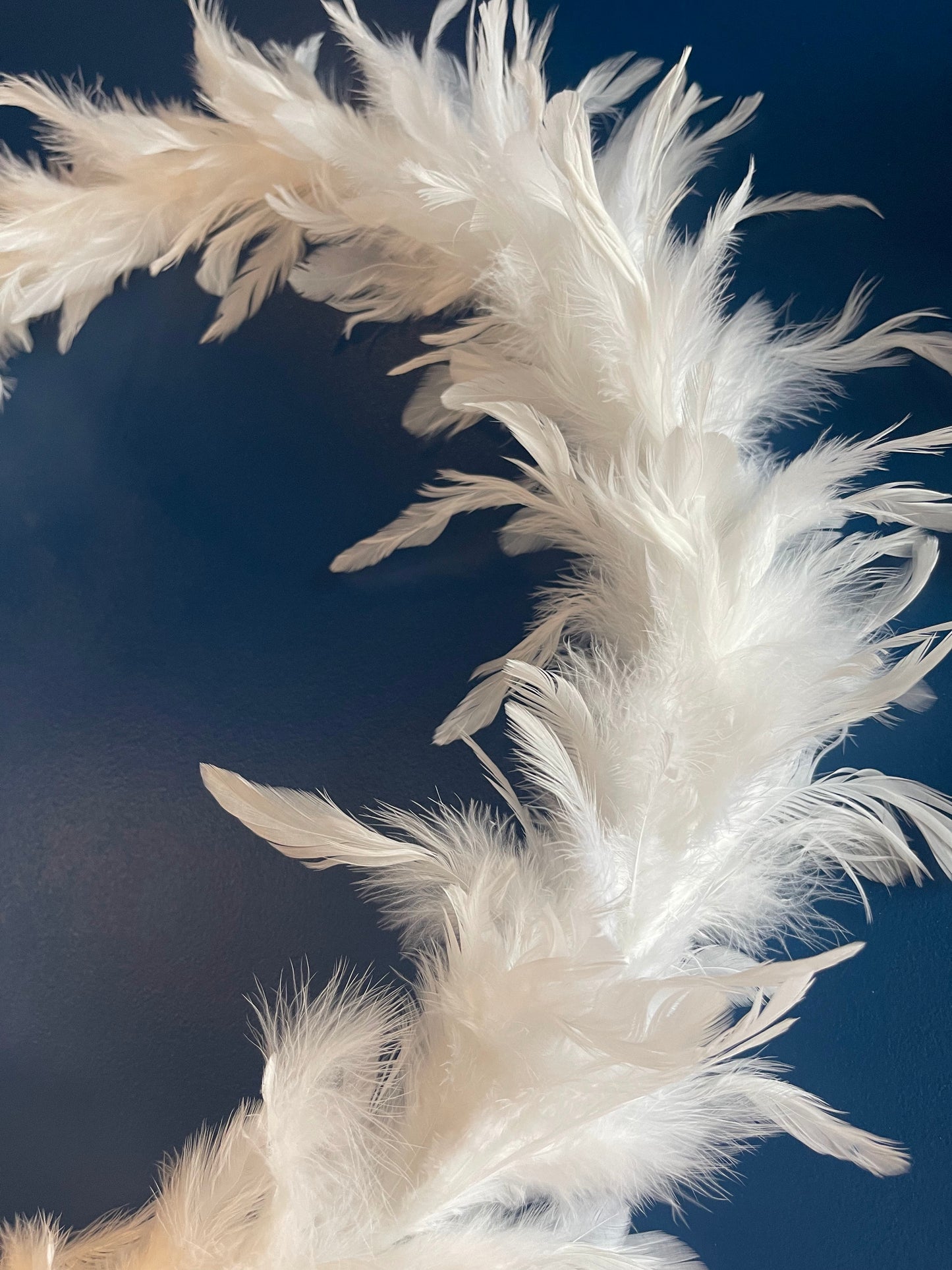 Cerceau Plumes